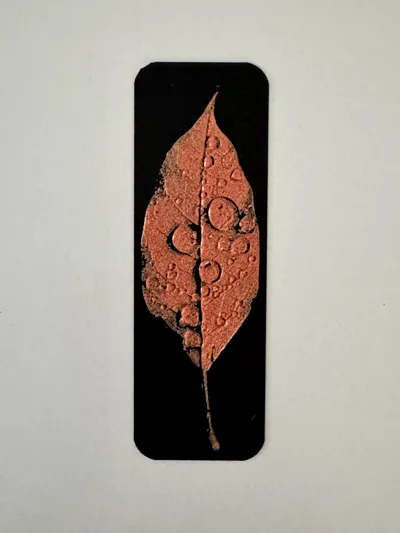 https://makerworld.bblmw.com/makerworld/model/858018/830732/ratings/a506d820-632e-11f0-8d0c-cda1f7bea058.jpg