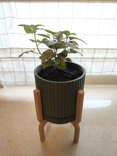 https://makerworld.bblmw.com/makerworld/model/860078/812171/ratings/20813980-fb2b-11ef-9663-a91c70799b2e.jpg