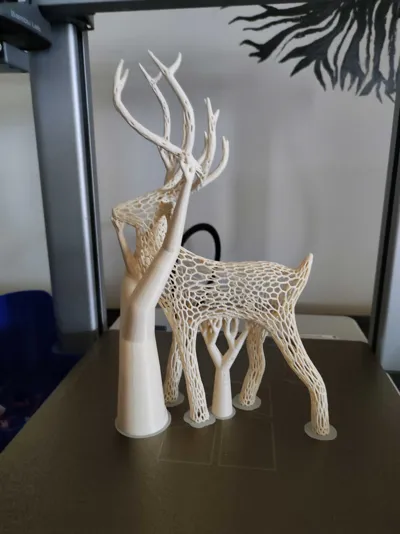 https://makerworld.bblmw.com/makerworld/model/86094/687990/ratings/8ef56a10-c0e4-11f0-bd07-a1f77438e85b.jpg