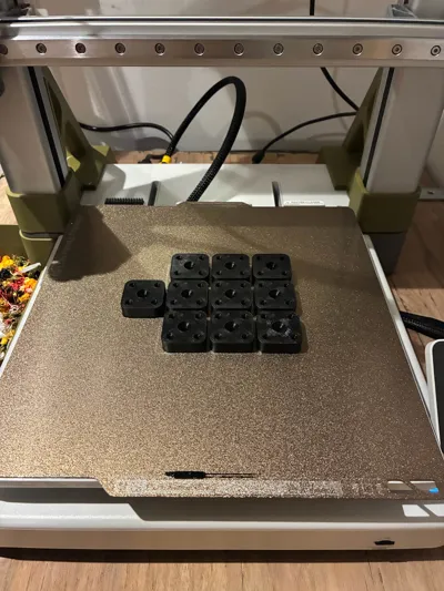 https://makerworld.bblmw.com/makerworld/model/861073/1609221/ratings/78038cc0-9be5-11f0-9abd-d79a13064128.jpg