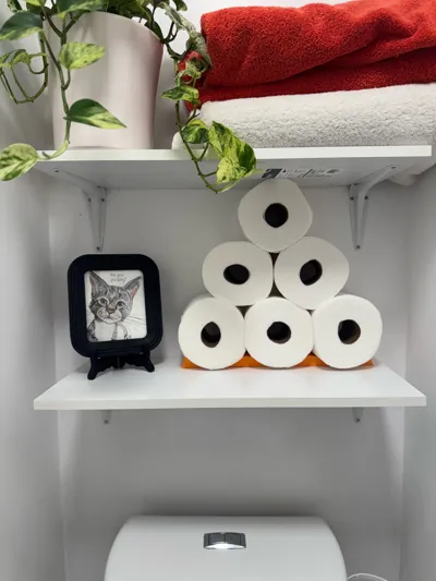 https://makerworld.bblmw.com/makerworld/model/861137/811430/ratings/9e74bf00-e834-11f0-a3ed-fbe13d66f818.jpg