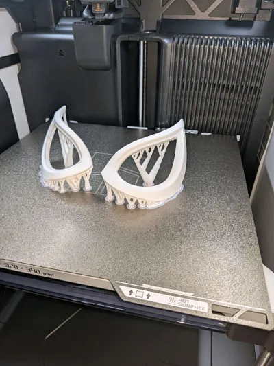 https://makerworld.bblmw.com/makerworld/model/861368/2033469/ratings/929bf8d0-b85d-11f0-913b-490de588d3d9.jpg
