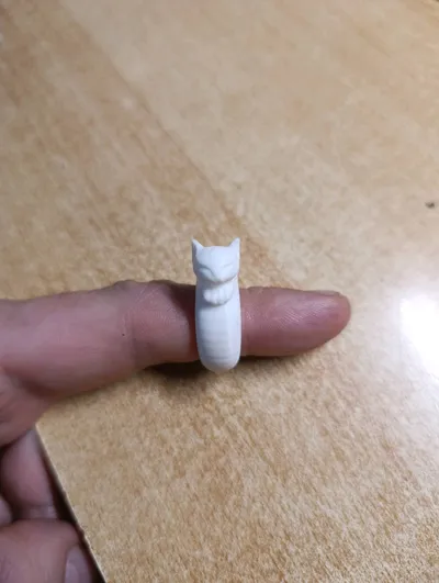 https://makerworld.bblmw.com/makerworld/model/862583/819977/ratings/7aea82f0-0fb2-11f0-92d3-75538a74bca2.jpg
