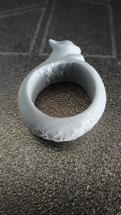 https://makerworld.bblmw.com/makerworld/model/862583/831455/ratings/22b2ad80-e651-11f0-bd5a-77a3931a3f08.jpg