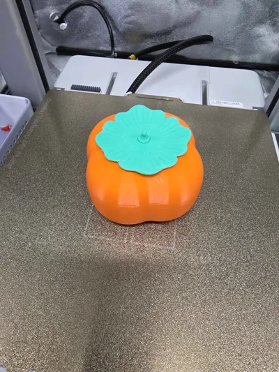 https://makerworld.bblmw.com/makerworld/model/863546/814277/ratings/fa255570-a59b-11f0-8cc9-09c89624e31c.jpg