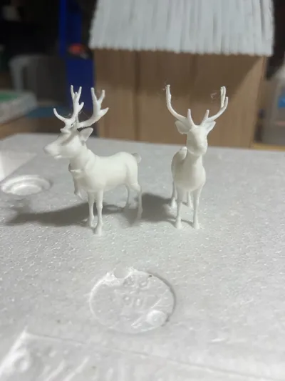 https://makerworld.bblmw.com/makerworld/model/864627/815585/ratings/e3799260-9da7-11f0-b9e9-3b2c0fc36721.jpg