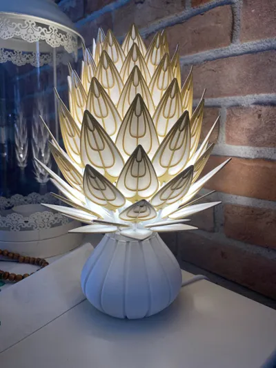 https://makerworld.bblmw.com/makerworld/model/867513/818839/ratings/531c5010-c52d-11f0-b6e2-83ea0b339a16.jpg