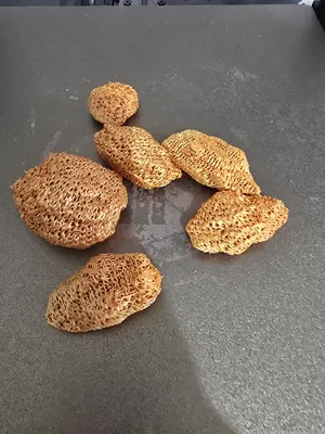https://makerworld.bblmw.com/makerworld/model/867606/818939/ratings/59a60210-fcfa-11ef-88a0-21eeef5425b8.jpg