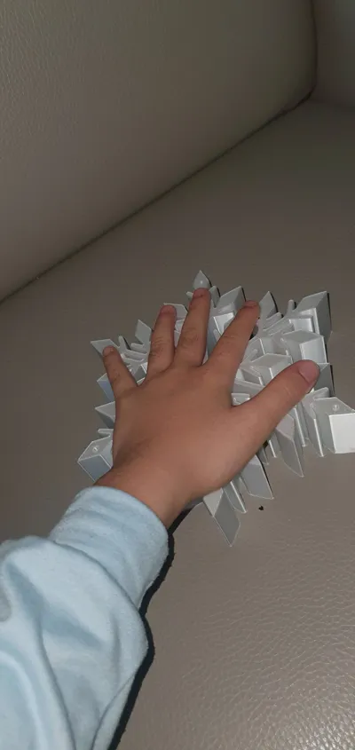 https://makerworld.bblmw.com/makerworld/model/868126/819559/ratings/0baf21b0-d7b3-11f0-9a99-13cc7b66aa80.jpg