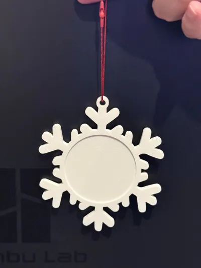 https://makerworld.bblmw.com/makerworld/model/868811/820334/ratings/bc1252a0-c941-11f0-800b-f1673c6bbda3.jpg