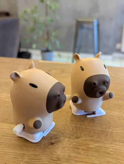 https://makerworld.bblmw.com/makerworld/model/869674/871902/ratings/828db230-0e67-11f0-ae5b-6f62e85bb468.jpg