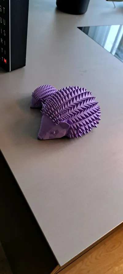 https://makerworld.bblmw.com/makerworld/model/869859/821642/ratings/c5d71730-1db1-11f0-828d-971236675e6a.jpg