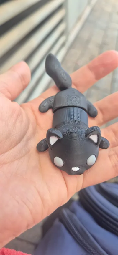 https://makerworld.bblmw.com/makerworld/model/870617/822505/ratings/c8f98dc0-f395-11f0-a344-a10017a76395.jpg