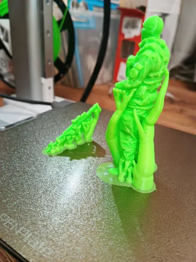 https://makerworld.bblmw.com/makerworld/model/872607/824797/ratings/c0a4df90-b8d9-11f0-940b-c3e8bda577dd.jpg