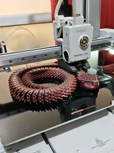 https://makerworld.bblmw.com/makerworld/model/872641/824898/ratings/e0fb6250-dc79-11f0-b9ef-3f97ea75ff61.jpg