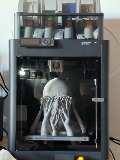 https://makerworld.bblmw.com/makerworld/model/872771/824998/ratings/b234d540-6209-11f0-9613-d37966786dda.jpg