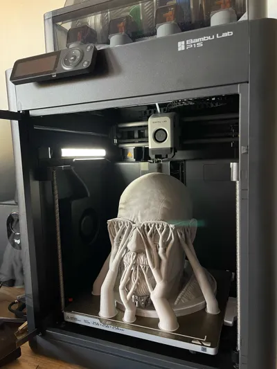 https://makerworld.bblmw.com/makerworld/model/872771/824998/ratings/b2376d50-6209-11f0-9613-d37966786dda.jpg