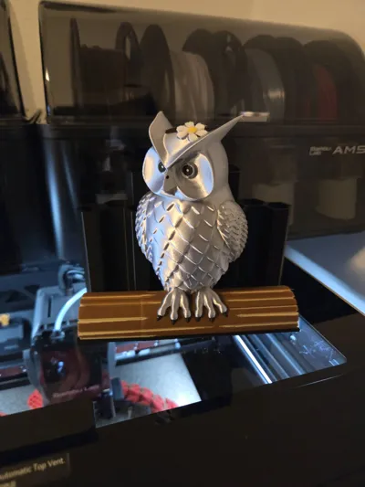 https://makerworld.bblmw.com/makerworld/model/87449/93607/ratings/d5468a30-3967-11f0-a770-8d6b5b3e4098.jpg