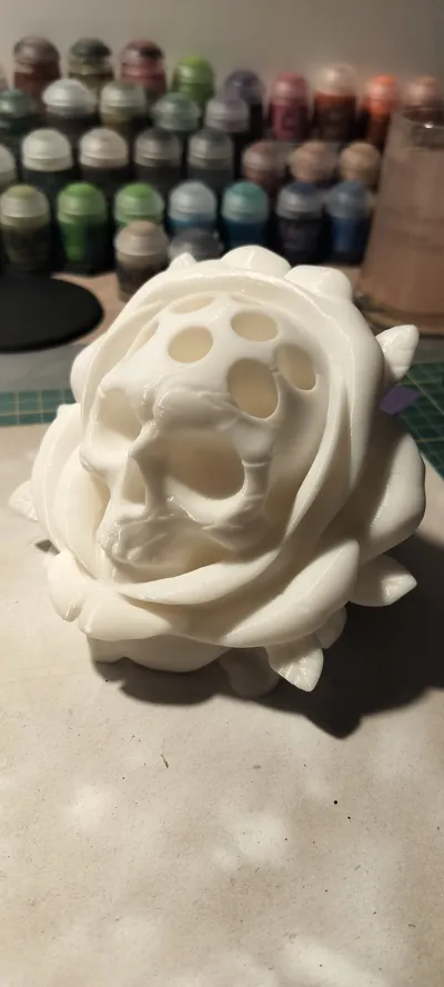 https://makerworld.bblmw.com/makerworld/model/875728/828596/ratings/2025-06-12_89667a5538627.jpg