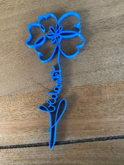 https://makerworld.bblmw.com/makerworld/model/875789/828689/ratings/d0cad320-d454-11f0-a46d-332c64e07412.jpg