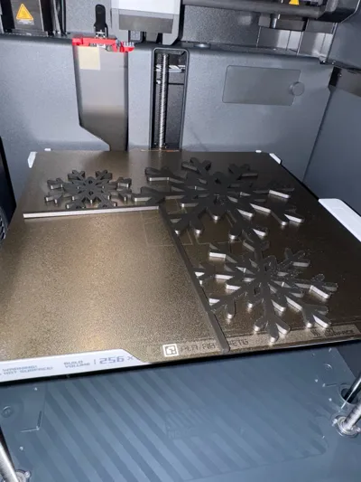 https://makerworld.bblmw.com/makerworld/model/876074/829035/ratings/cdd8f070-c879-11f0-b3bb-a7b8a1582e4c.jpg