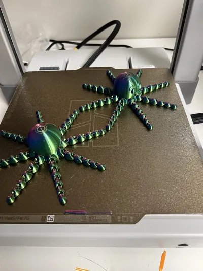 https://makerworld.bblmw.com/makerworld/model/876597/860894/ratings/428e87b0-00f5-11f0-a01e-db9c6fd963b7.jpg