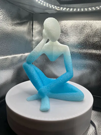 https://makerworld.bblmw.com/makerworld/model/876719/932996/ratings/c284e160-1f92-11f0-985a-fd21ebb4e392.jpg