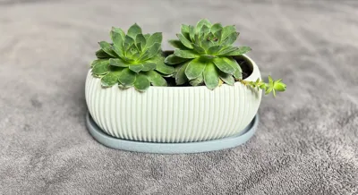 https://makerworld.bblmw.com/makerworld/model/879547/833377/ratings/0c268c30-af51-11f0-ad29-d113a19b1f16.jpg
