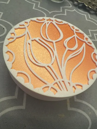 https://makerworld.bblmw.com/makerworld/model/880973/835030/ratings/88fbdf40-fa6e-11f0-835c-173c2177593e.jpg