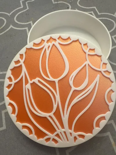 https://makerworld.bblmw.com/makerworld/model/880973/835030/ratings/89088970-fa6e-11f0-835c-173c2177593e.jpg