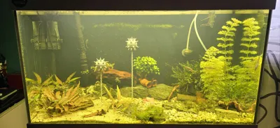 https://makerworld.bblmw.com/makerworld/model/881277/835442/ratings/c6817a70-ed56-11f0-a43b-6fc0a0ef18f0.jpg