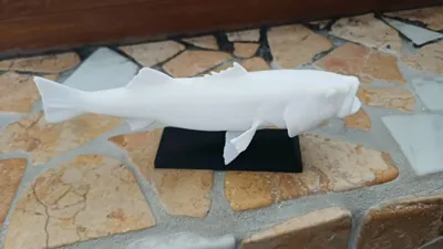 https://makerworld.bblmw.com/makerworld/model/883116/837652/ratings/117f56d0-84f4-11f0-ac97-1ffc6dfa15ec.jpg