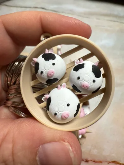 https://makerworld.bblmw.com/makerworld/model/883203/837766/ratings/0d88de20-6d20-11f0-8036-39e2b393bdcb.jpg