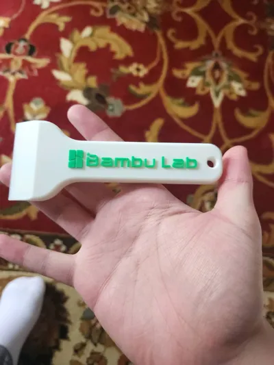 https://makerworld.bblmw.com/makerworld/model/88371/1524370/ratings/00908b20-48a2-11f0-bc61-15becb3552a8.jpg