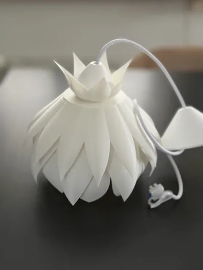 https://makerworld.bblmw.com/makerworld/model/883846/838520/ratings/706db1c0-dbeb-11f0-a316-1dd02d312041.jpg