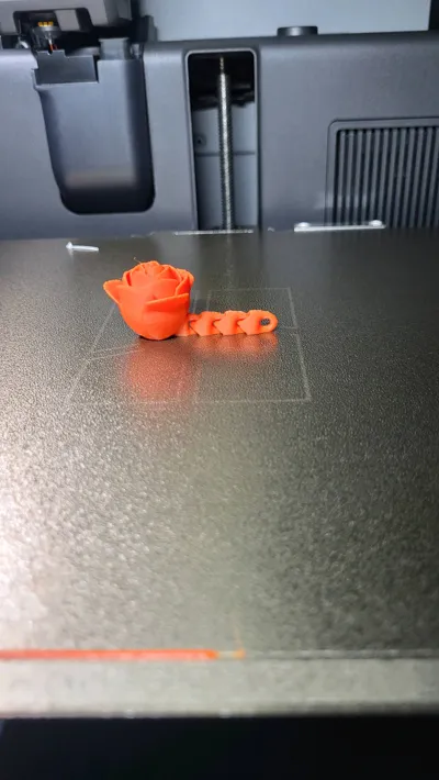https://makerworld.bblmw.com/makerworld/model/886543/930219/ratings/f501c690-f0b0-11f0-b5a8-9116ee55ed57.jpg