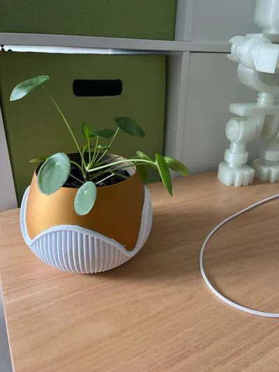 https://makerworld.bblmw.com/makerworld/model/886835/842258/ratings/6ac88270-9eda-11f0-a093-d564eab9eb62.jpg
