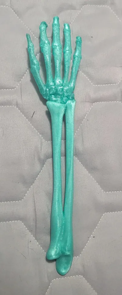 https://makerworld.bblmw.com/makerworld/model/887720/843357/ratings/5d8eb2e0-68f3-11f0-bb56-bdb6a3a290ef.jpg