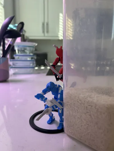 https://makerworld.bblmw.com/makerworld/model/888476/844361/ratings/651110c0-007b-11f0-8b7a-db43a469fdbb.jpg