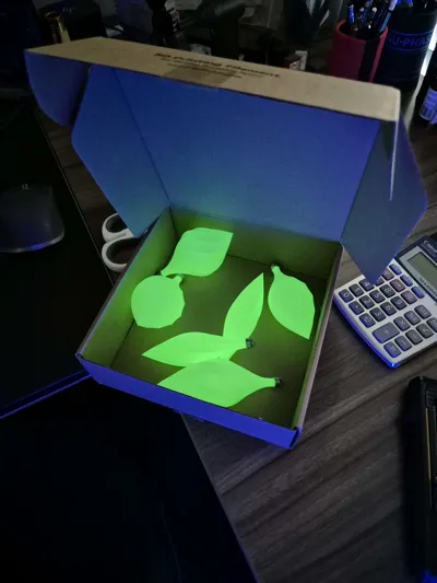 https://makerworld.bblmw.com/makerworld/model/889133/845174/ratings/a1b33a70-d236-11f0-a861-e33d7cd20c88.jpg