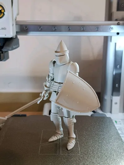 https://makerworld.bblmw.com/makerworld/model/89001/95340/ratings/f087b040-9262-11f0-a5d7-2d9bc67eb9f1.jpg