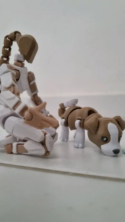 https://makerworld.bblmw.com/makerworld/model/891565/848189/ratings/4a664870-236d-11f0-8155-5334322fa196.jpg