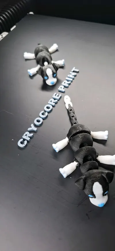 https://makerworld.bblmw.com/makerworld/model/891565/848189/ratings/c4736c40-c428-11f0-bc20-ed8493425e5b.jpg
