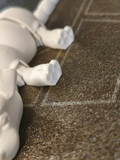 https://makerworld.bblmw.com/makerworld/model/891565/852453/ratings/a2be0380-af33-11f0-8362-854921c4ea2c.jpg