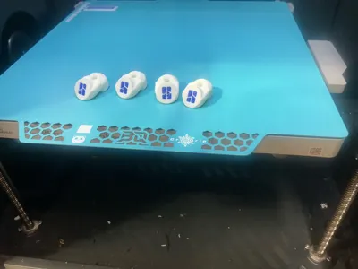 https://makerworld.bblmw.com/makerworld/model/893444/850613/ratings/a938d090-545d-11f0-ae41-7b22fbcc77e0.jpg