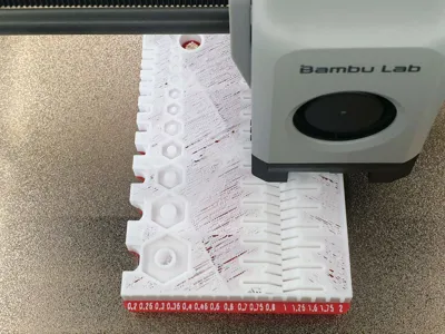 https://makerworld.bblmw.com/makerworld/model/894027/851434/ratings/47d4e610-42a4-11f0-98b5-7b35cf548fe5.jpg