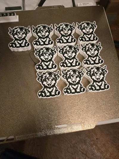 https://makerworld.bblmw.com/makerworld/model/894057/851436/ratings/1e352490-ae3e-11f0-b490-4ff41a15a864.jpg
