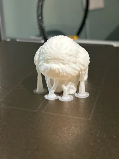 https://makerworld.bblmw.com/makerworld/model/894237/851662/ratings/96bb2500-120c-11f0-9208-81a743468dd7.jpg