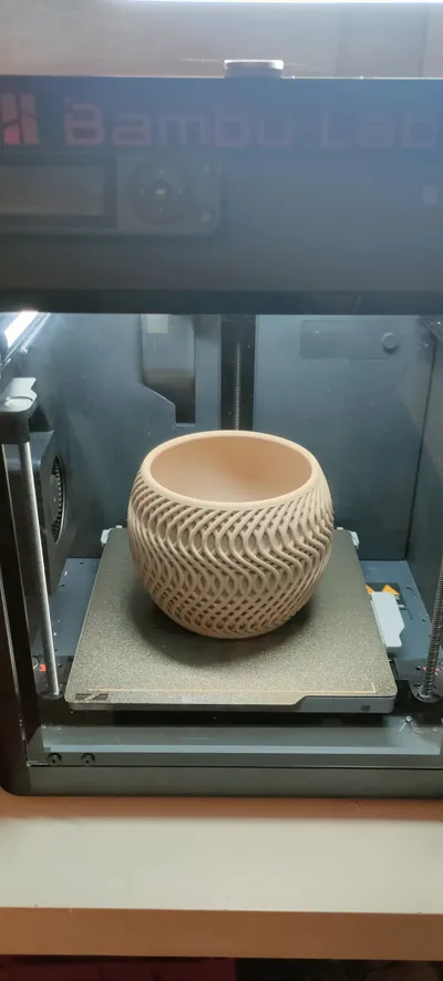 https://makerworld.bblmw.com/makerworld/model/894363/851850/ratings/5990c980-fe04-11ef-a207-dd2c0fc5571c.jpg
