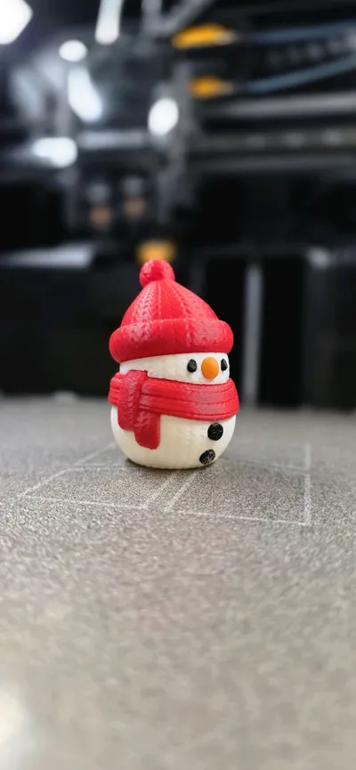 https://makerworld.bblmw.com/makerworld/model/894423/851985/ratings/a8fee000-dcc1-11f0-9d2f-e12ca6d1153f.jpg